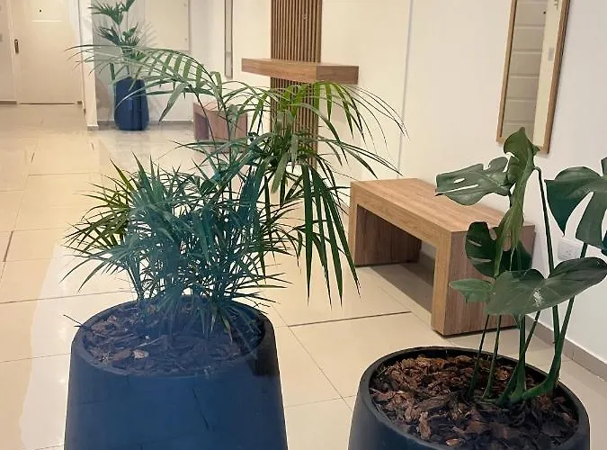 Studio Apart Odası
